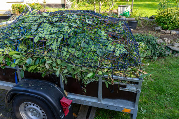 Moving and Downsizing Cleanouts in Forest City, PA